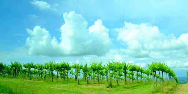 San Gimignano : Where fairy tales come alive