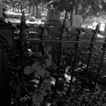 Haunted Places in Gujarat That May Scare You Witless!