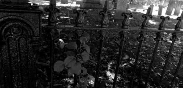 Haunted Places in Gujarat That May Scare You Witless!