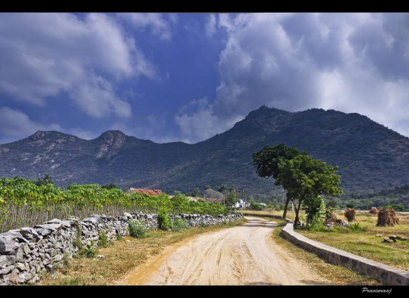 12 Best Hill Stations Near Chennai For a Perfect Getaway