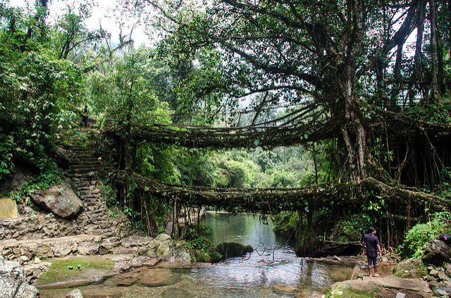 Meghalaya