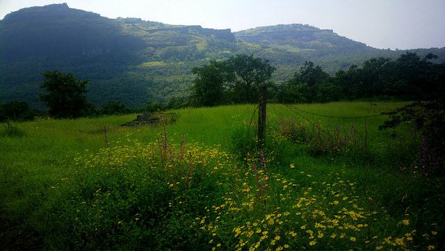 Rajmachi