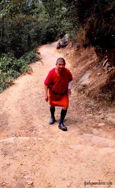 tigers nest 11