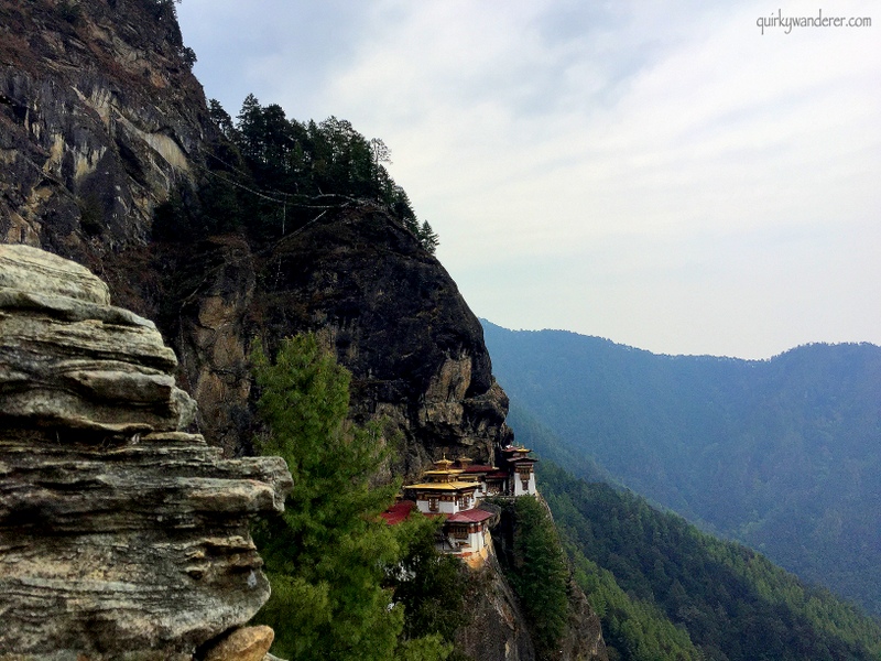 tigers nest 12