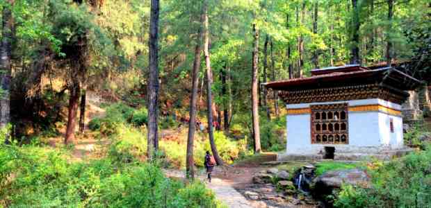 A Meditative Trek to Tiger's Nest Monastery, Bhutan