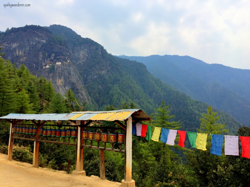 tigers nest 8