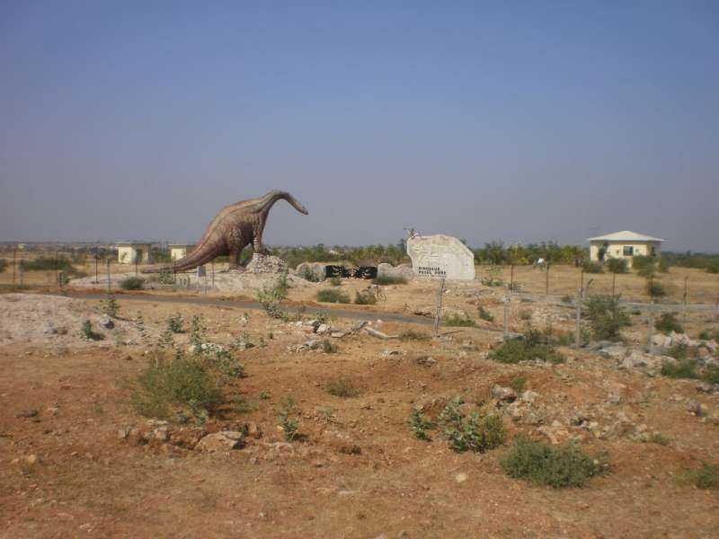 Balasinor