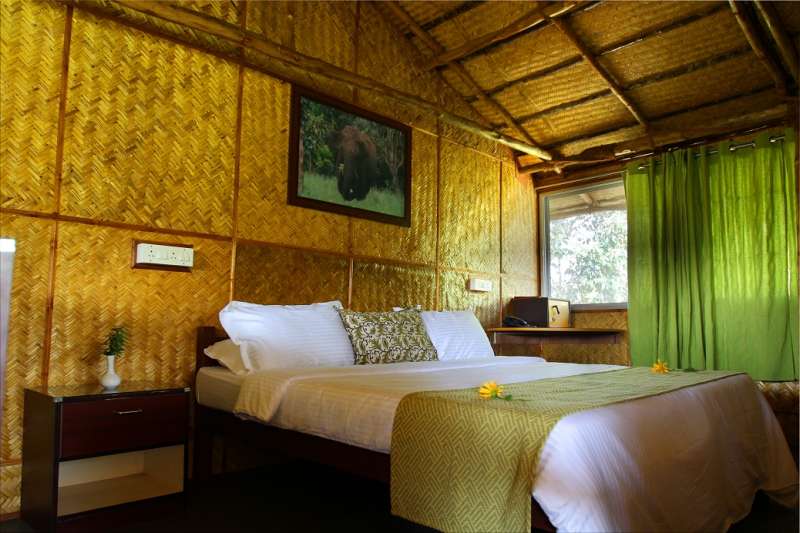Inn the Wild, Madumalai Tiger Reserve, Best Wildlife Resorts In India