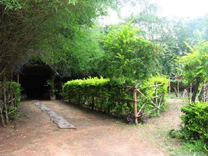 Jungle Inn Resort, Best Wildlife Resorts In India