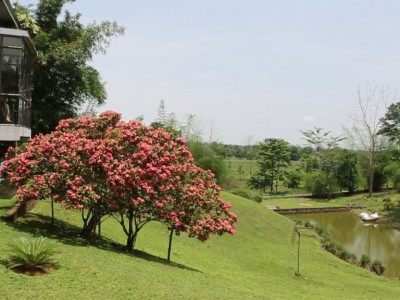 Landmark Woods, Kaziranga National Park, Best Wildlife Resorts In India