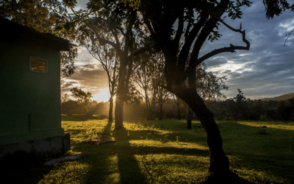 Best Wildlife Resorts In India