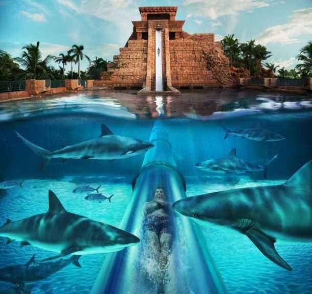 AquaVenture Water park, Top Adventure Activities In Dubai