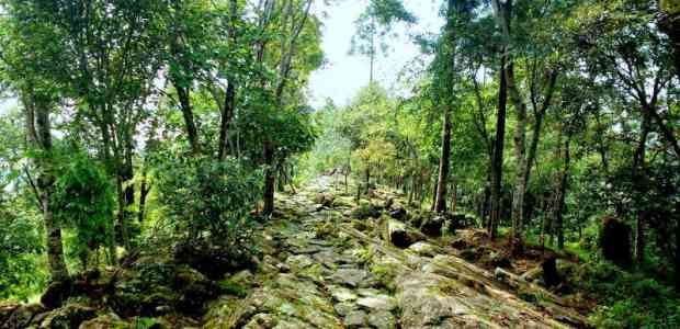 Escape to Enchanting Longkhum Village : A Travelogue