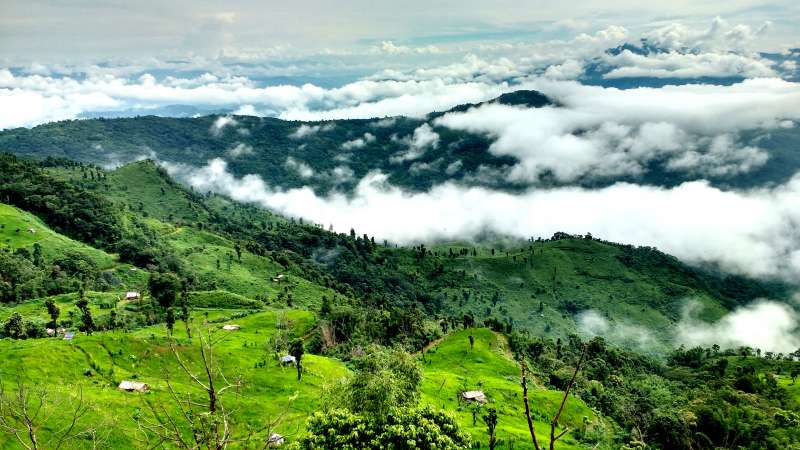 view