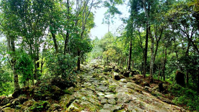 stony trail