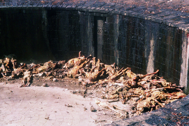 Pasri Graveyard