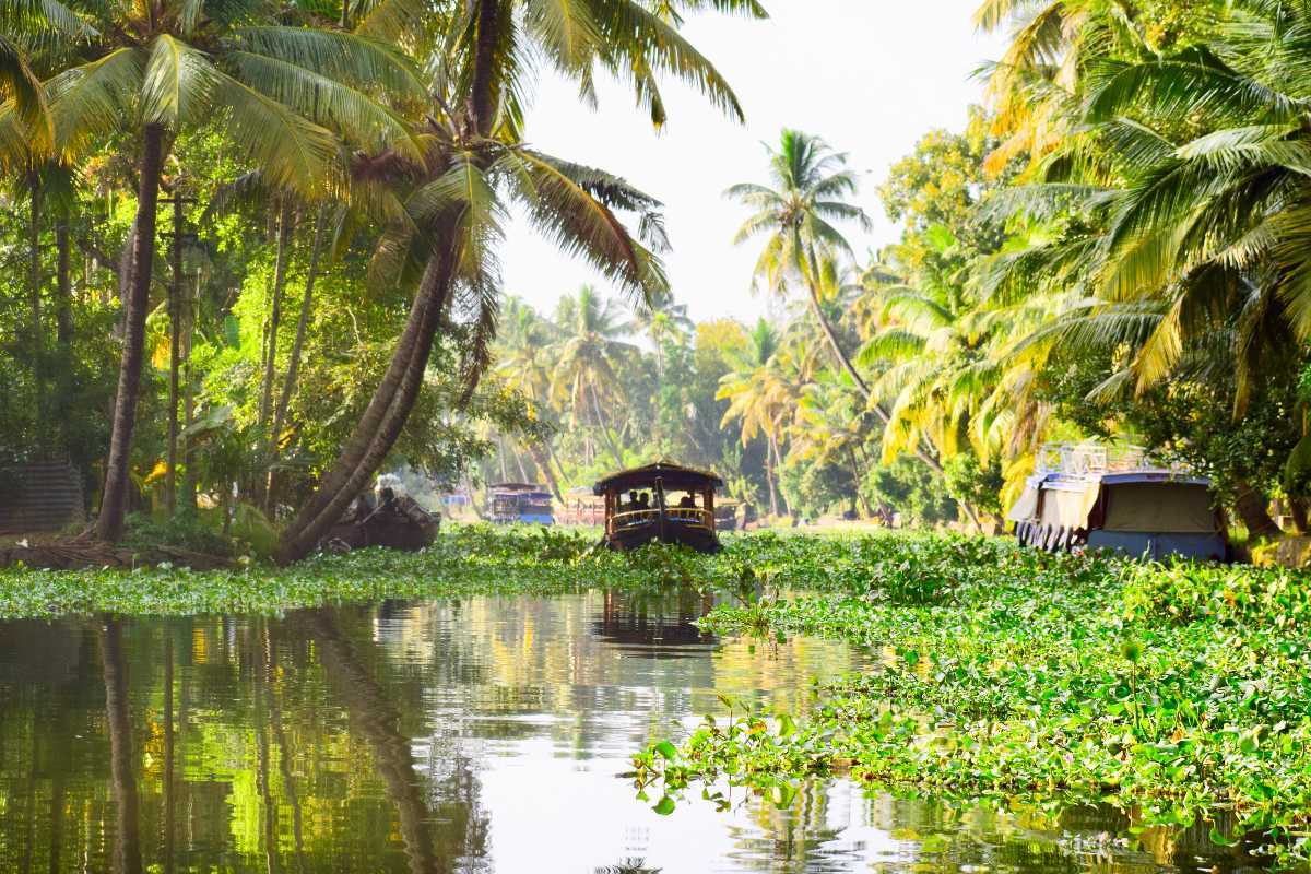 Alleppey Tourism (2021) - Kerala > Allapuzha Backwaters, Travel Guide
