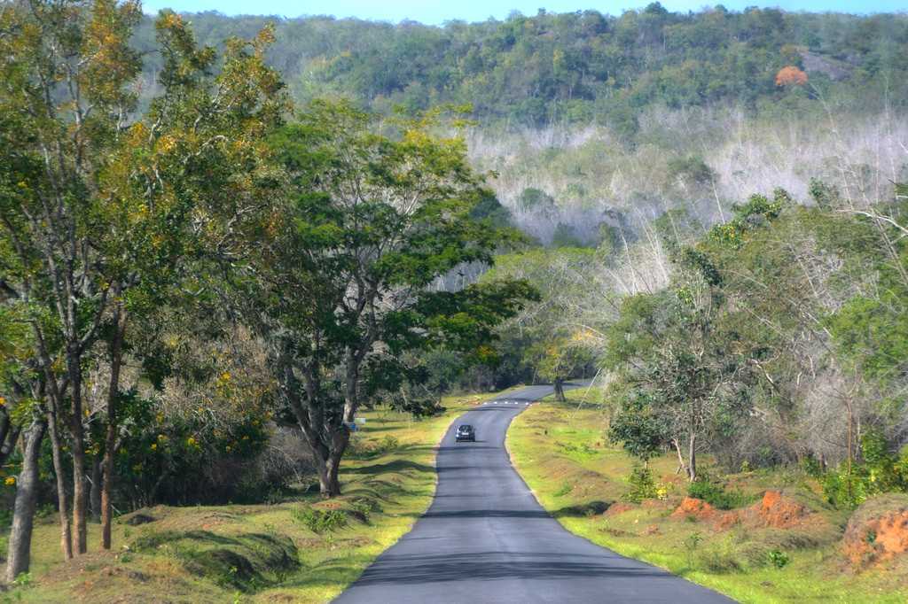 bandipur national park karnataka tourism