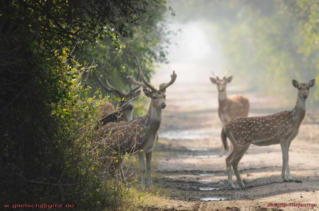 dholpur best time to visit