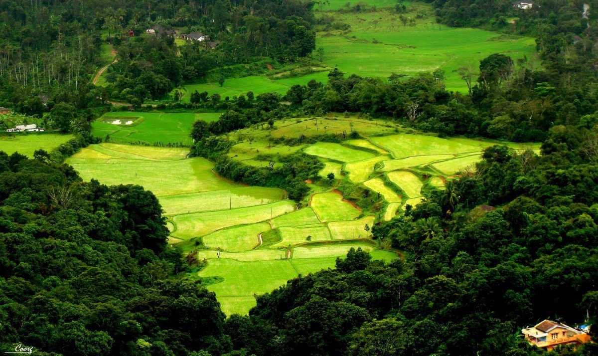 karnataka tourist places coorg