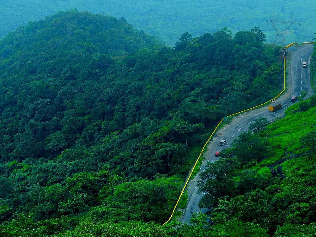 tourist places near kalpetta kerala