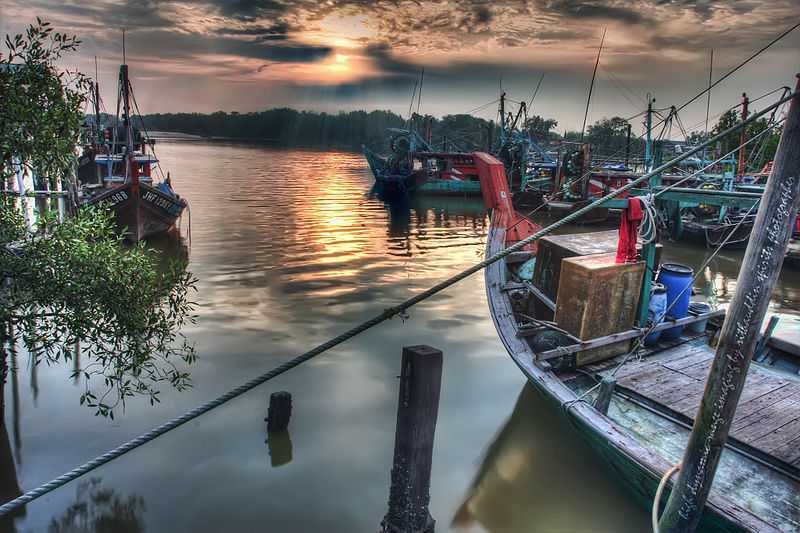 Kuala Selangor Tourism 2022 Malaysia Top Places Travel Guide Holidify