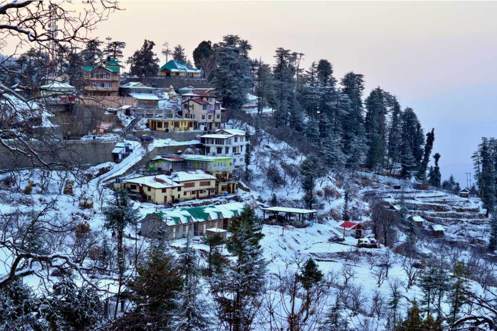 Kufri - Best Places to Visit in Shimla