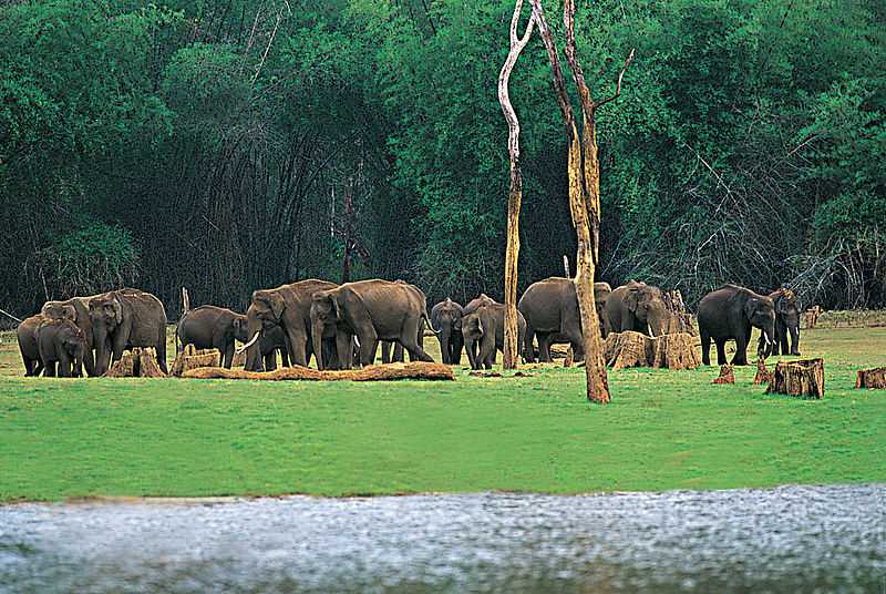 kumily surrounding tourist places