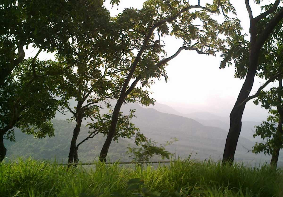 tourist places near mananthavady