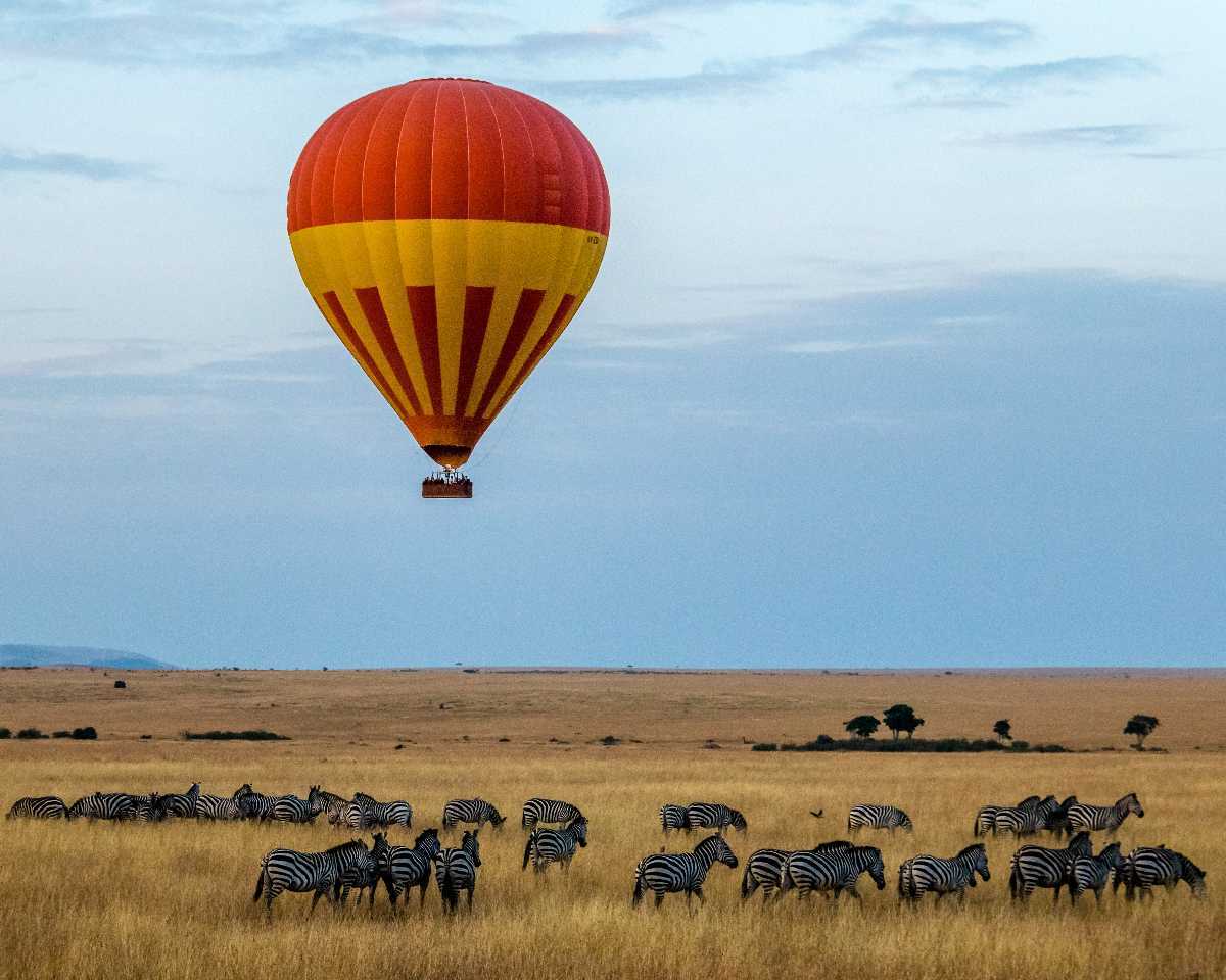 kenya masai mara best time to visit