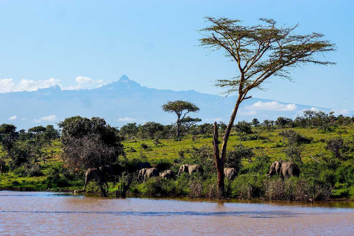 Mount Kenya National Park Images > See Original Photos & Gallery Of ...