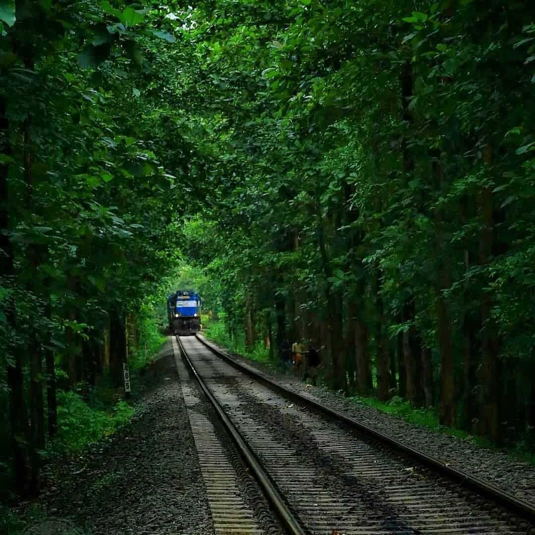 tourist places at nilambur