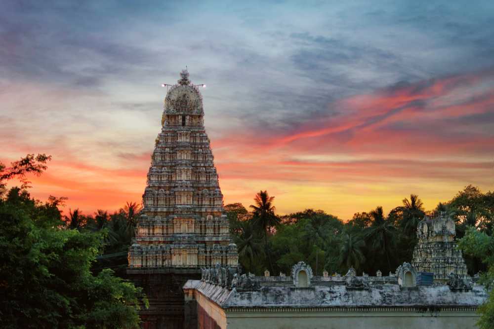 tourist van in vellore