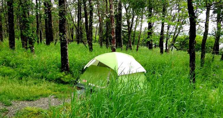 Coorg, Camping in Bangalore