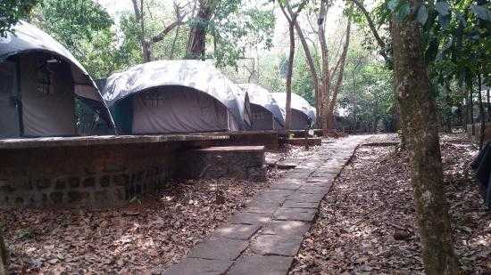 Hebri, Camping near Bangalore