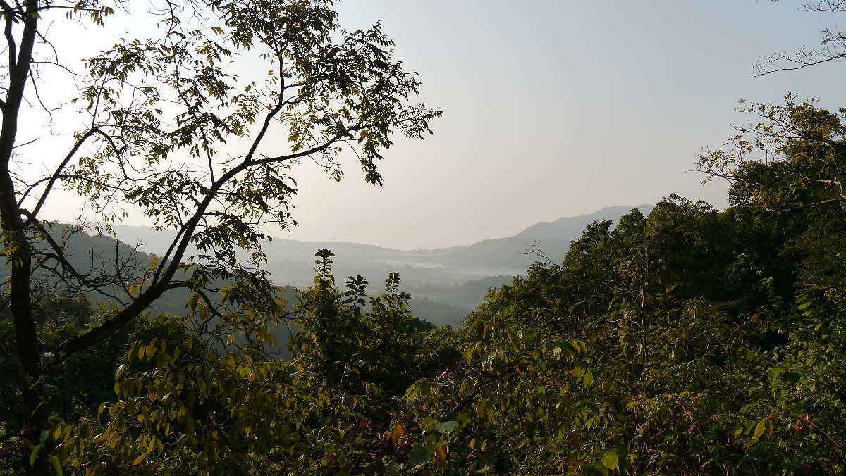 Yeoor Hills