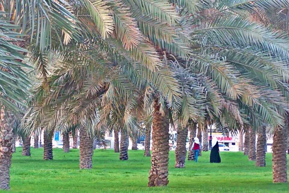Al Darari Park