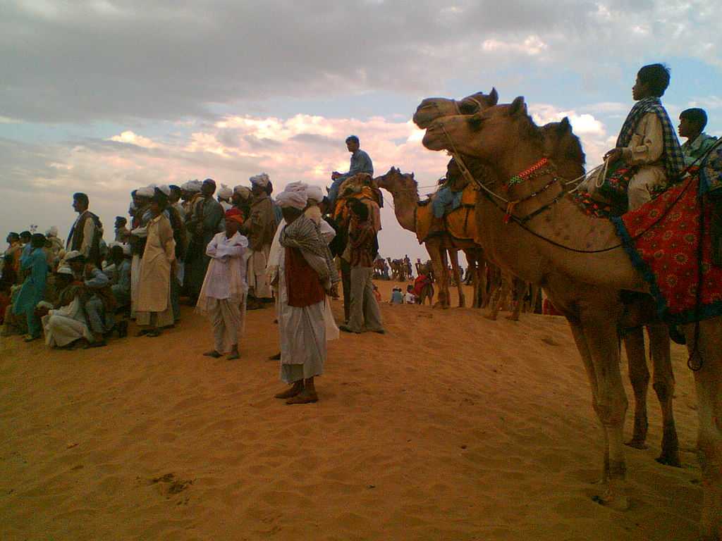 Desert Festival