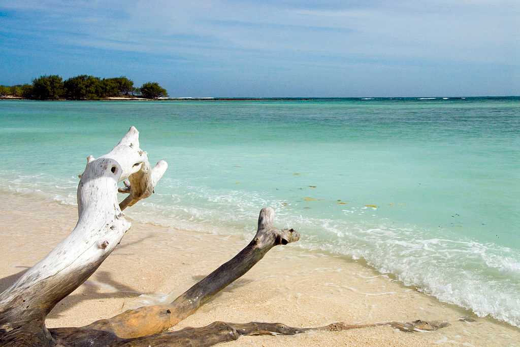 Desroches Island Seychelles