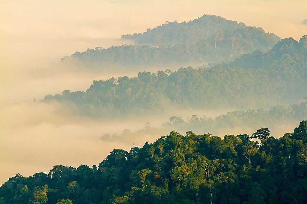 Kaeng Krachan National Park