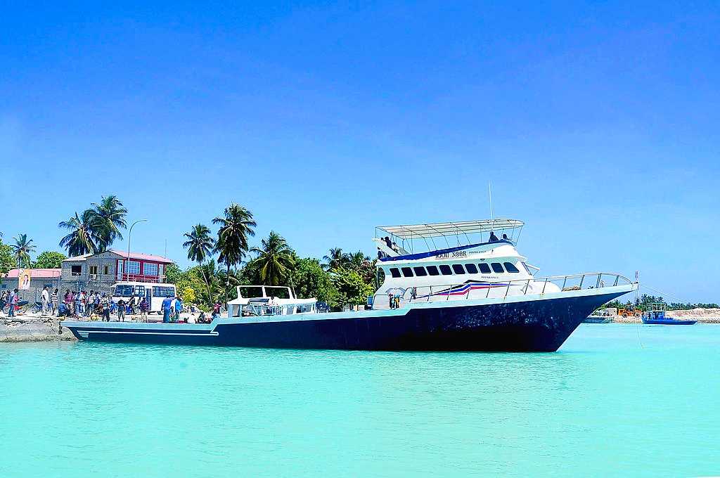 dhoni boat cruise