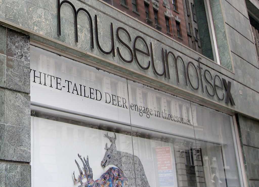 The Museum Of Sex (New York, USA)