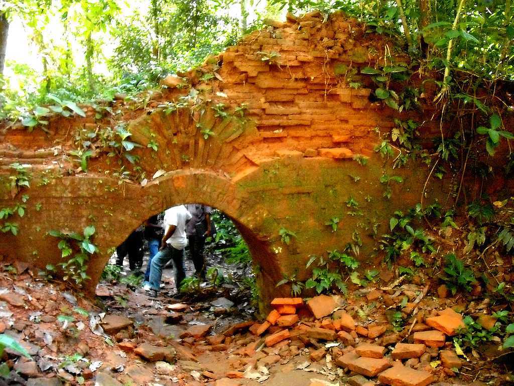 chilapata forest tourist