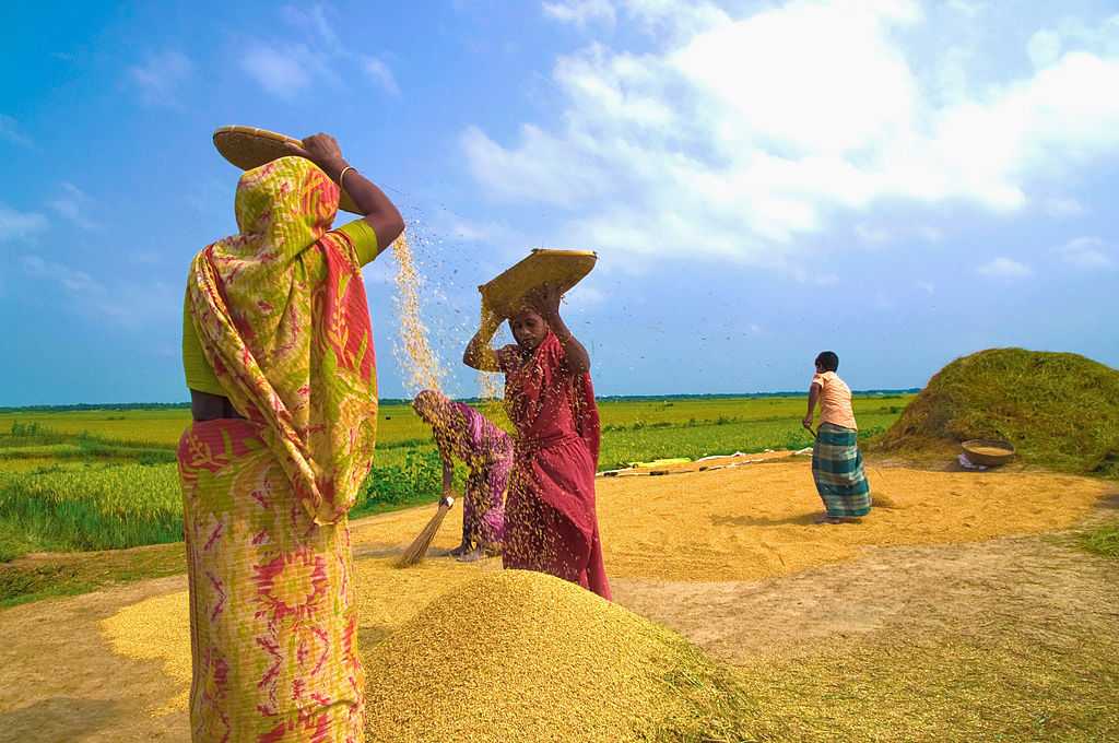 18 Popular Harvest Festivals in India 2024 (With Dates)