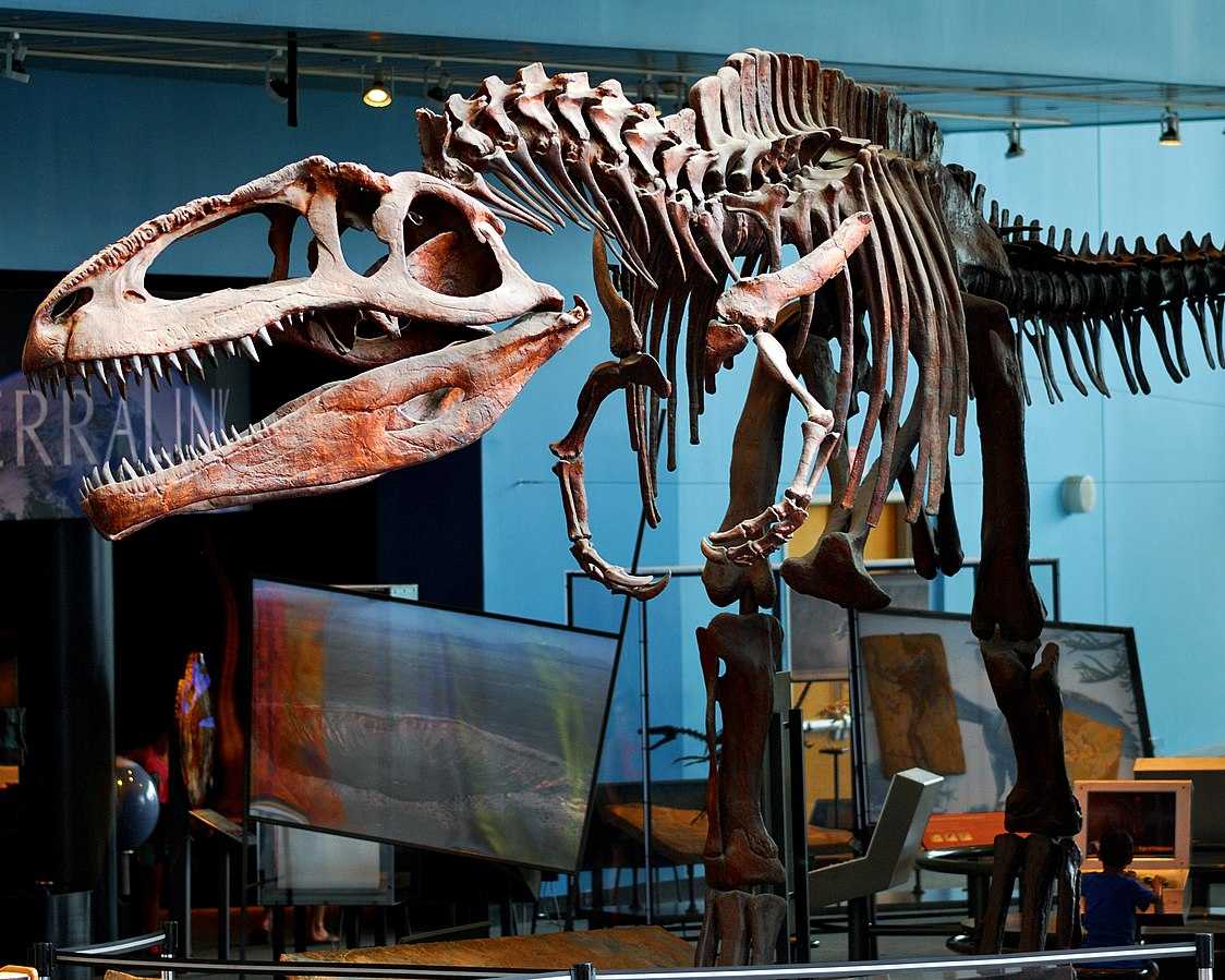 Maryland Science Center Baltimore USA Timings Tickets