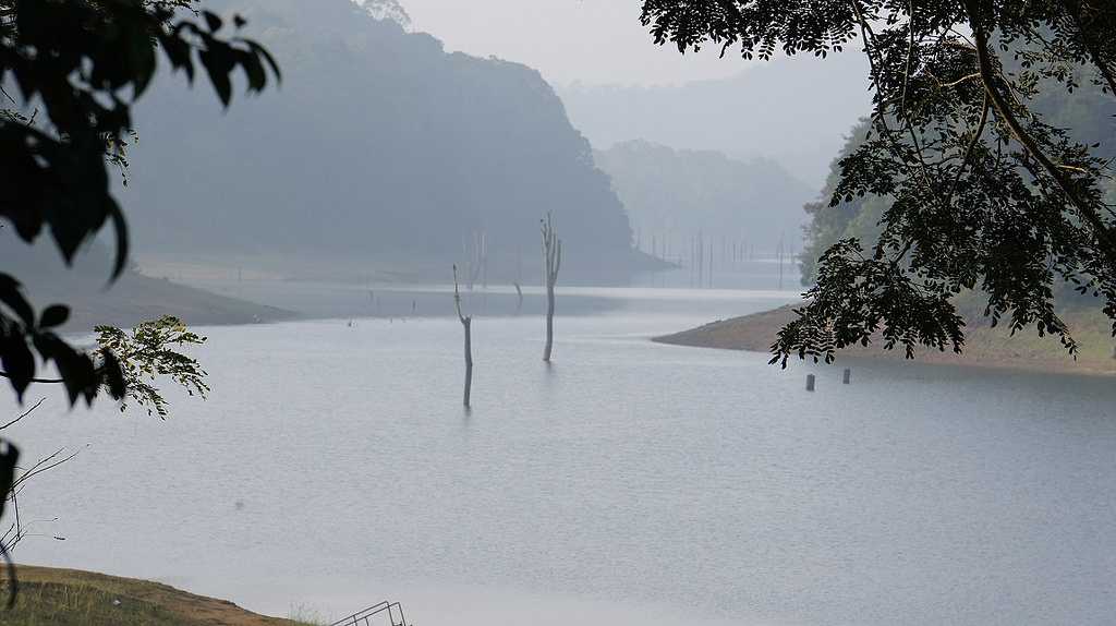 Periyar Tiger Reserve in Winter