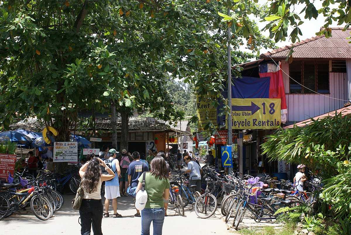Cycle Rental Shop