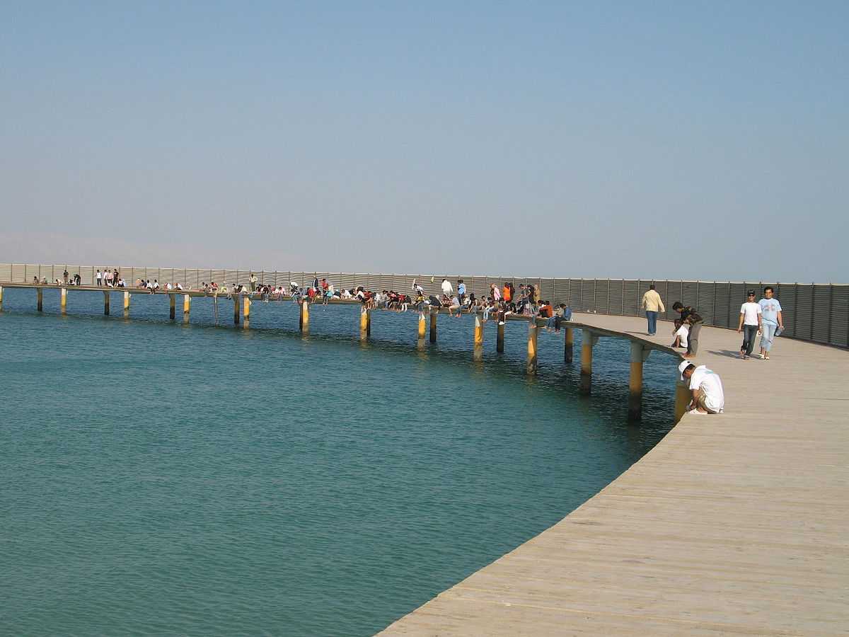 Fishing in Abu Dhabi