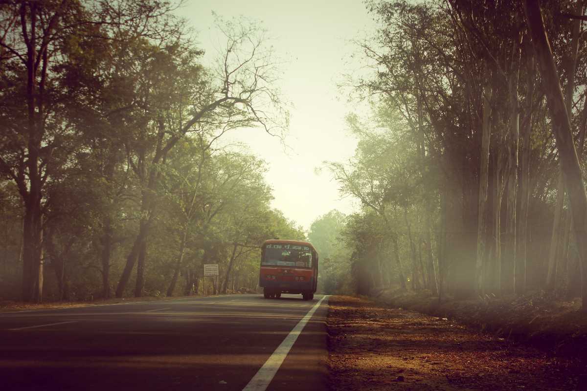 A misty morning in Coorg