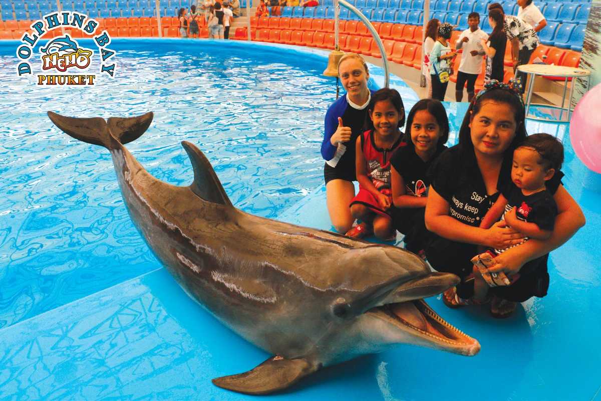 Photos with the Dolphins at Dolphins Bay, Phuket